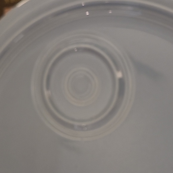 FIESTAWARE WELLED SNACK PLATES SET OF 2 - Picture 6 of 11